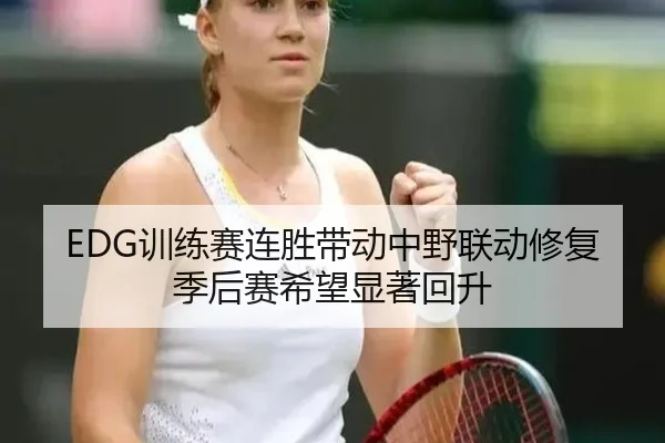 EDG训练赛连胜带动中野联动修复 季后赛希望显著回升